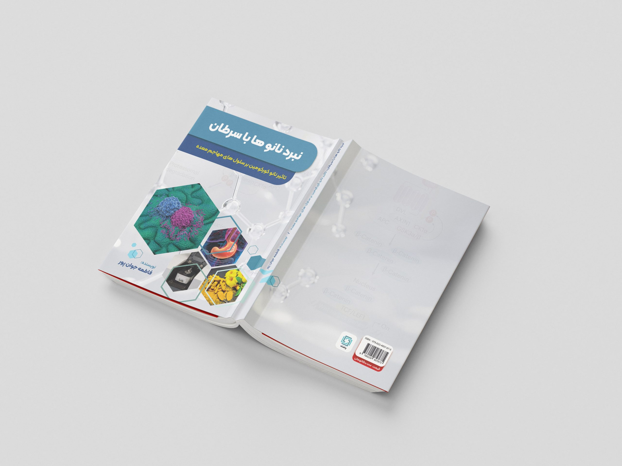 نانوکورکومین هوشمند، سلولهای سرطانی سرگردان