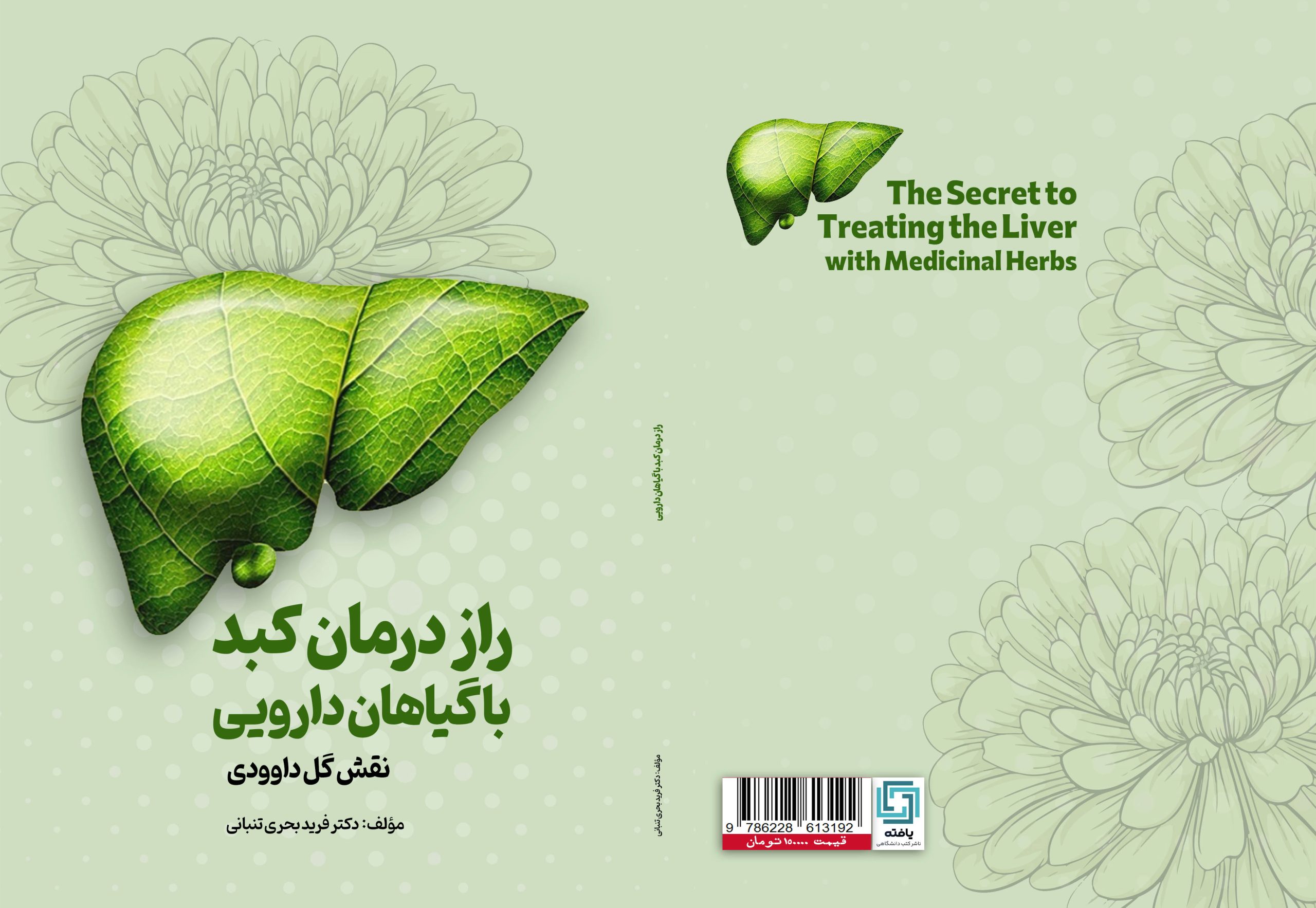 راز درمان کبد با گیاهان دارویی: نقش گل داوودی