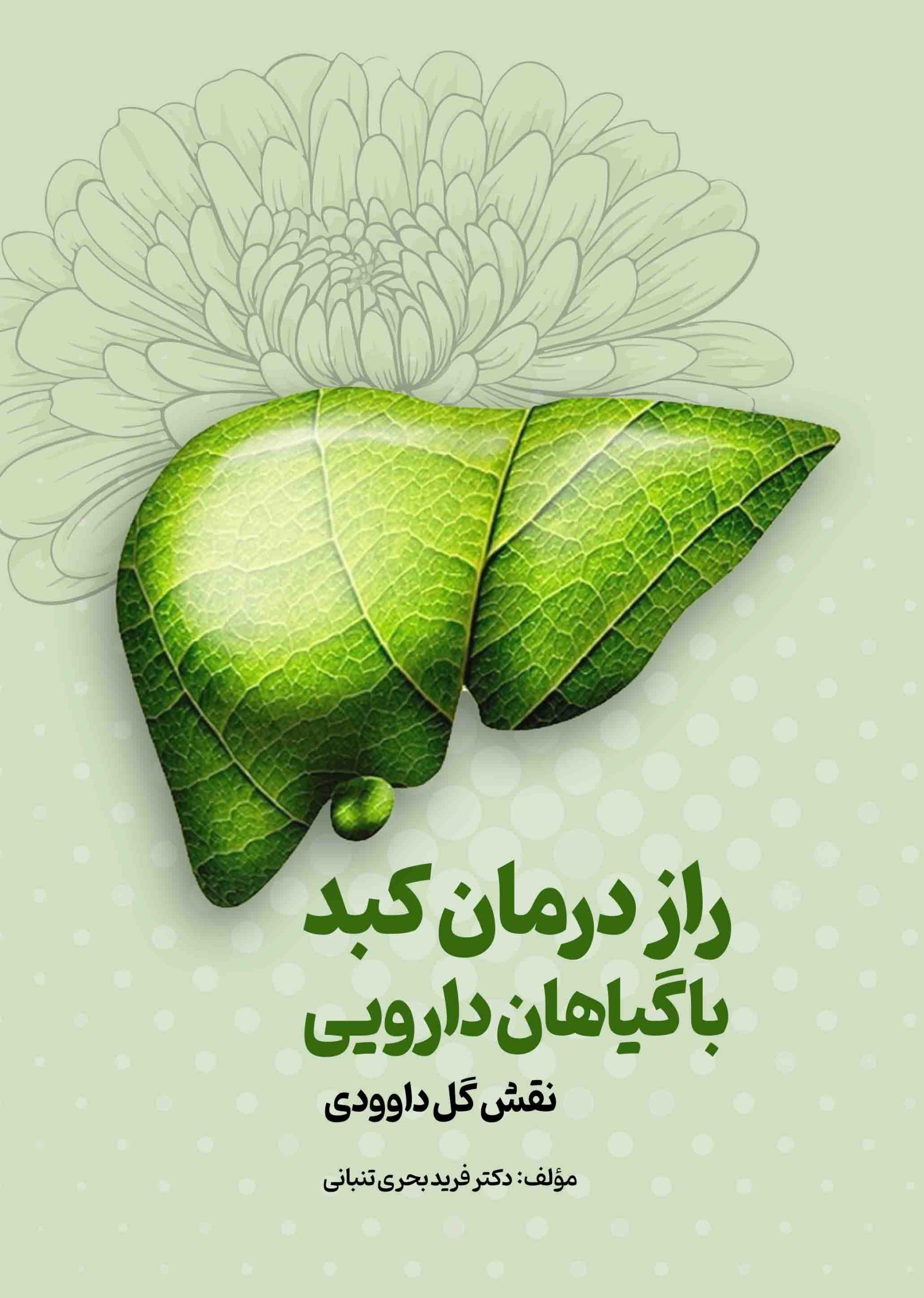 راز درمان کبد با گیاهان دارویی: نقش گل داوودی